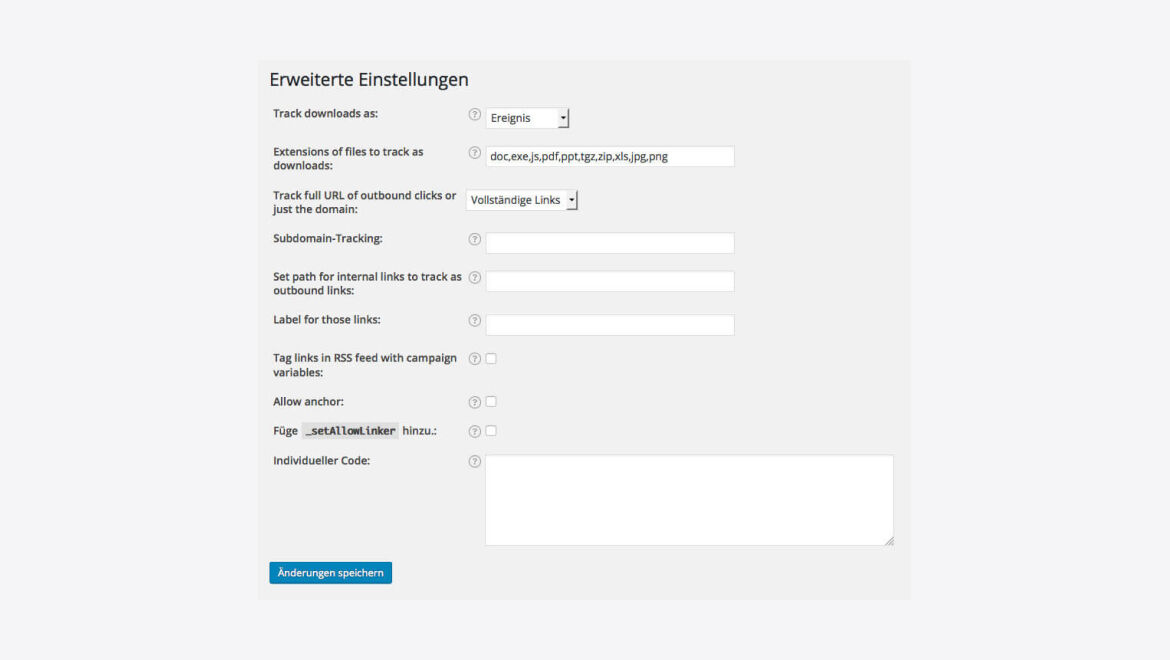 weitere-einestellungen-monster-insights