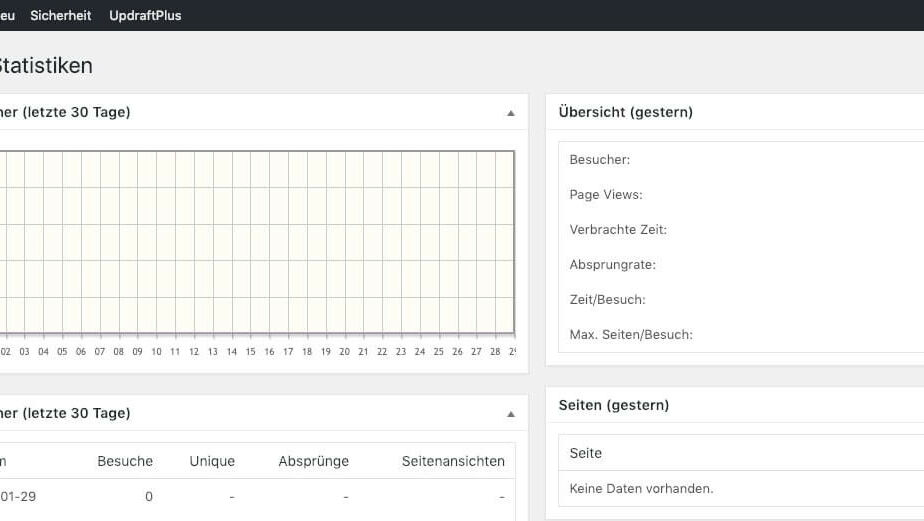 auszug-matomo-statistik